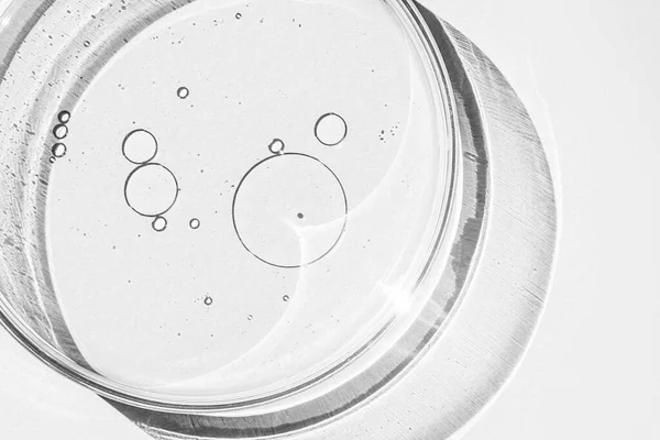 Piastra Petri Tazza Petri Con Liquido Elementi Chimici Olio Cosmetici — Foto Stock