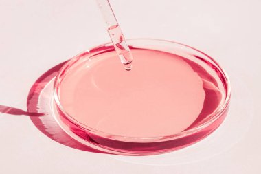 Petri kabı. Pembe sıvıyla. Çözümle. Pipette yukarıdan damlıyor. Beyaz bir arkaplanda.