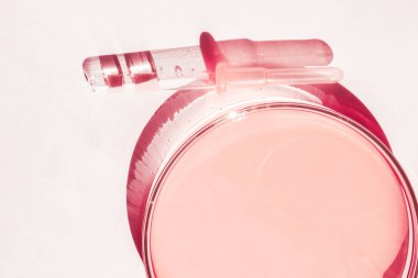 Petri kabı. Pembe sıvıyla. Çözümle. Tıbbi pipet. Beyaz bir arkaplanda.