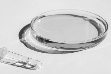 Petri kabı. Şeffaf sıvıyla. Çözümle. Tıbbi pipet. Beyaz bir arkaplanda.