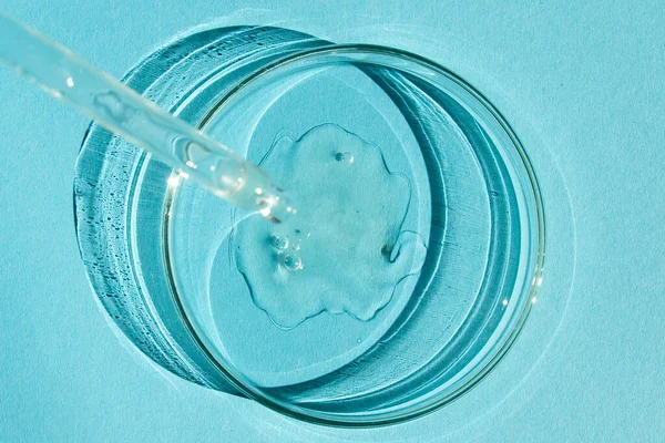 Petri菜 用透明的凝胶 吹笛者撒谎了 化妆品分配器 蓝色背景的 — 图库照片