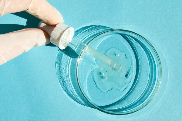 Petri菜 用透明的凝胶 一只戴着手套的手拿着一个分配器 一个长笛 蓝色背景的 — 图库照片