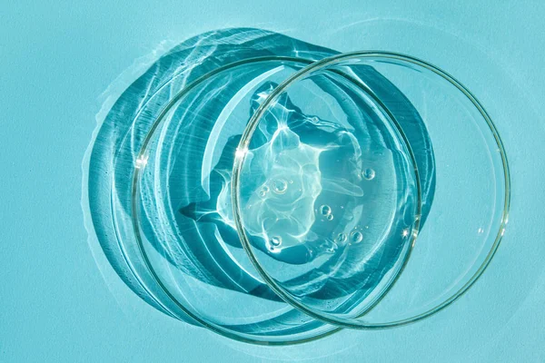 Πιάτα Petri Διάφανο Τζελ Μπλε Φόντο — Φωτογραφία Αρχείου