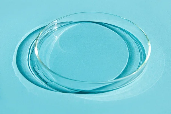 Placas Petri Vacío Sobre Fondo Azul — Foto de Stock