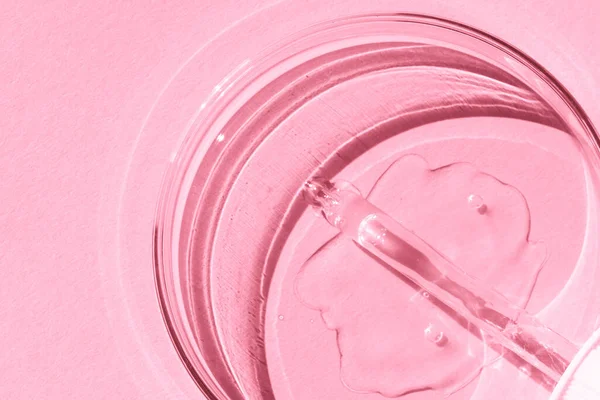 stock image Petri dish. With transparent gel. The pipette lies. Cosmetic dispenser. On a pink background.