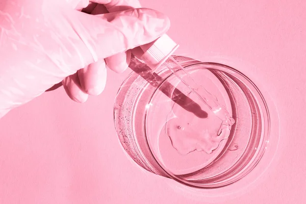 Prato Petri Com Gel Transparente Uma Mão Enluvada Segura Dispensador — Fotografia de Stock