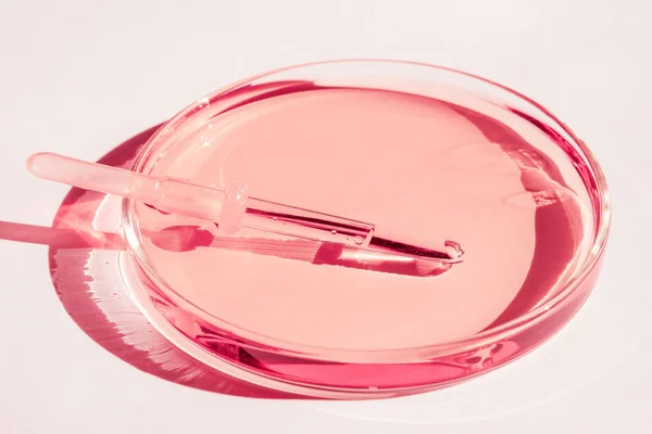 Petri dishes. With pink liquid. With solution. Medical pipette. On a white background.