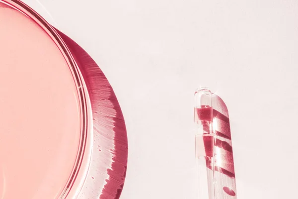 stock image Petri dishes. With pink liquid. With solution. Medical pipette. On a white background.