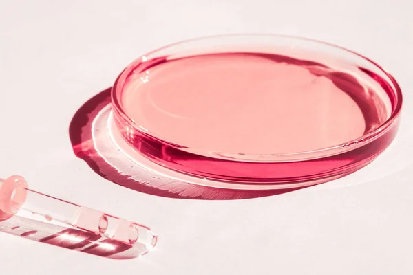 Petri Kabı Pembe Sıvıyla Çözümle Tıbbi Pipet Beyaz Bir Arkaplanda — Stok fotoğraf