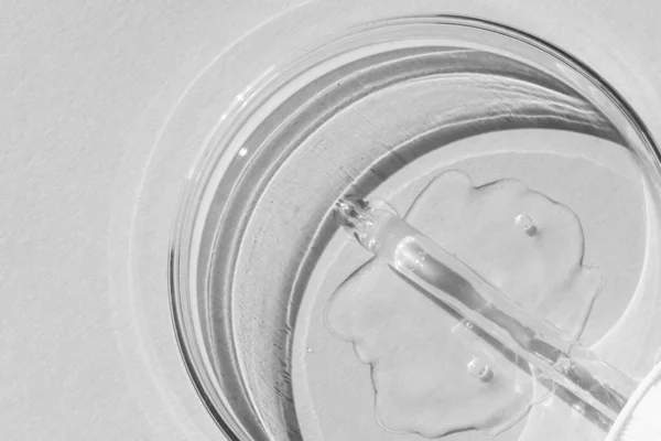 Prato Petri Com Gel Transparente Pipeta Mente Distribuidor Cosméticos Fundo — Fotografia de Stock