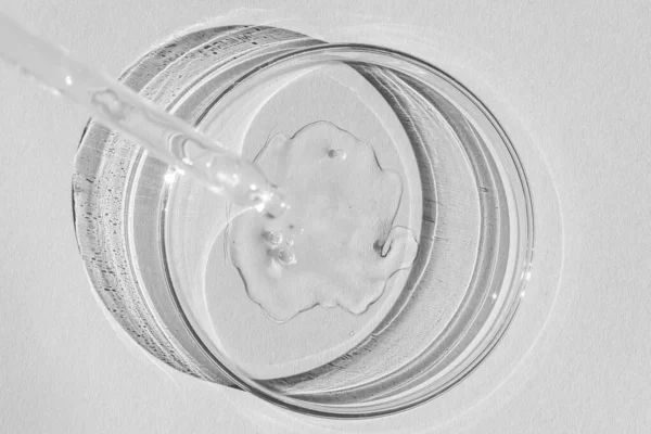 ペトリ皿 透明なゲルで ピペットは嘘だ 化粧品ディスペンサー 白地に — ストック写真