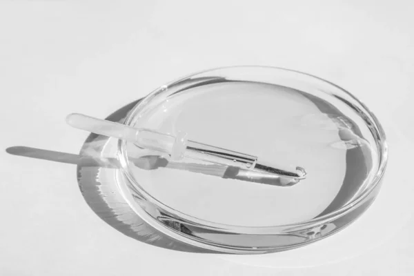 Płytki Petriego Przezroczystym Płynem Rozwiązaniem Pipeta Medyczna Białym Tle — Zdjęcie stockowe