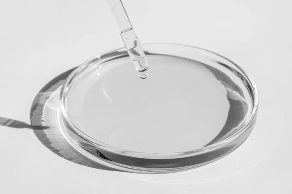 Petri dish. With clear liquid. With solution. Pipette dripping from above. On a white background.