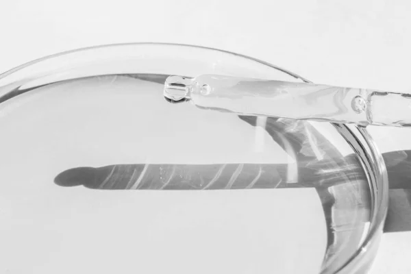 Placa Petri Con Líquido Transparente Con Solución Pipeta Cosmética Sobre — Foto de Stock