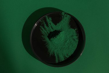 Yeşil arka planda taze spirulina algleri tozu, organik spirulina tozu.