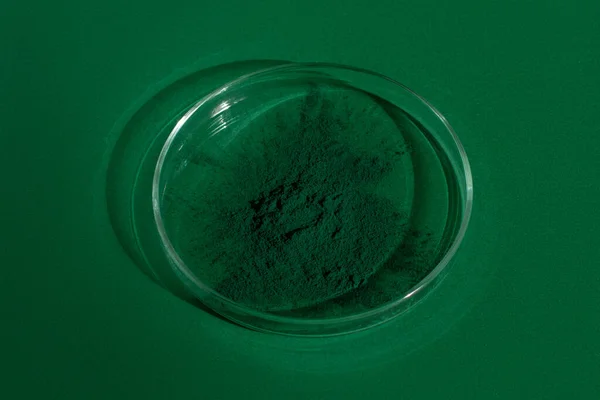 Frisches Spirulina Algenpulver Auf Grünem Hintergrund Einer Petrischale Auf Grünem — Stockfoto