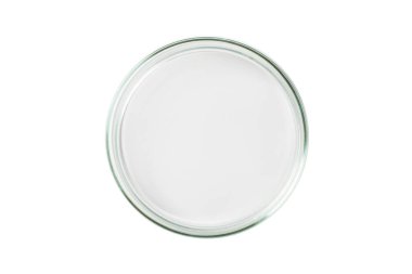 Petri kabı boş şeffaf izole.