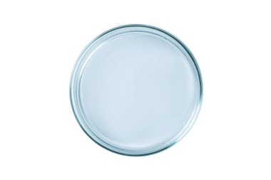 Petri kabı boş mavi bardak izole.