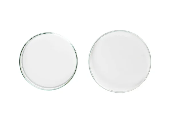 两个培养皿从玻璃中被分离出来 — 图库照片