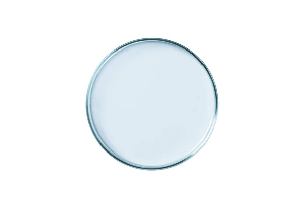 Piatto Petri Vuoto Vetro Blu Isolato — Foto Stock