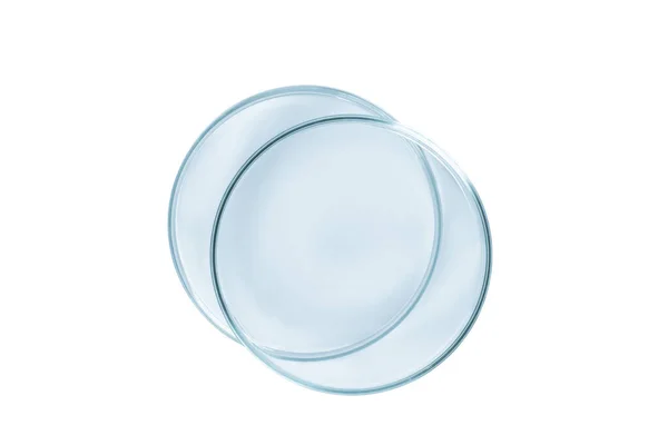 Two Petri Dishes Empty Blue Glass Isolated — Stock Photo, Image