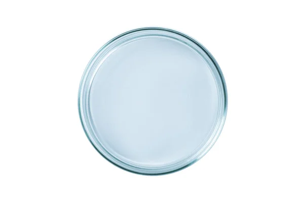 Piatto Petri Vuoto Vetro Blu Isolato — Foto Stock