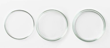 Hafif arka planda bir dizi petri kabı.