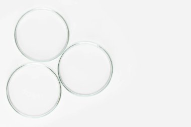 Işık arka planında bir takım laboratuvar camları. Çeşitli şekillerde petri kapları..