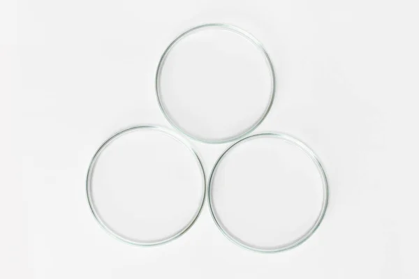 Stock image Three empty Petri dishes on a light background.