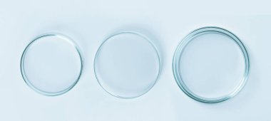 Mavi camdan yapılmış bir Petri kabı seti. Mavi bir arkaplanda.