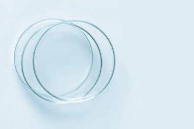 Mavi camdan yapılmış bir Petri kabı seti. Mavi bir arkaplanda.
