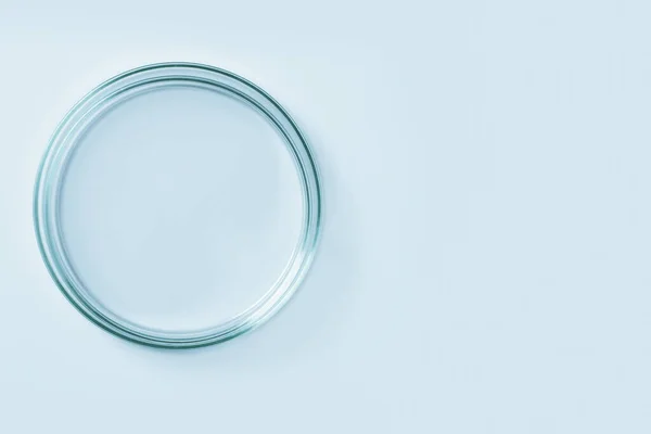 Κενό Τρυβλίο Petri Από Μπλε Γυαλί Μπλε Φόντο — Φωτογραφία Αρχείου