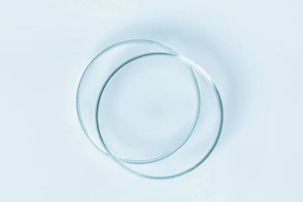 Set Placas Petri Cristal Azul Sobre Fondo Azul — Foto de Stock