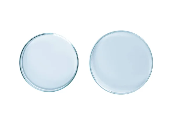 Δύο Πιάτα Petri Άδεια Από Μπλε Γυαλί Απομονωμένα — Φωτογραφία Αρχείου