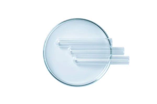 stock image Empty blue Petri dish with empty flasks isolated. View from above.