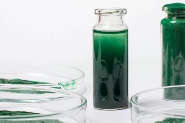 Kavanozdaki spirulinadan bir solüsyon ya da yağ. Beyaz bir arka planda. Büyük boy ya da spirulina kremalı Petri kabı..