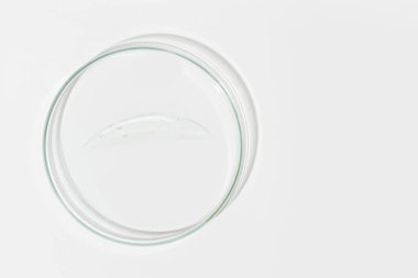 Hafif arka planda bir petri kabı. Temiz jel sürerek. Kozmetik jel, kayganlaştırıcı, jöle. Yukarıdan görüntüle