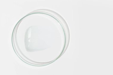 Hafif arka planda bir petri kabı. Temiz jel sürerek. Kozmetik jel, kayganlaştırıcı, jöle. Yukarıdan görüntüle