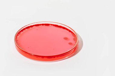 Hafif arka planda bir petri kabı. Kırmızı sıvı ve kırmızı damla ile karıştırılmış. Suda yuvarlak kırmızı daireler. Laboratuvar, kan, plazma. Çalış.