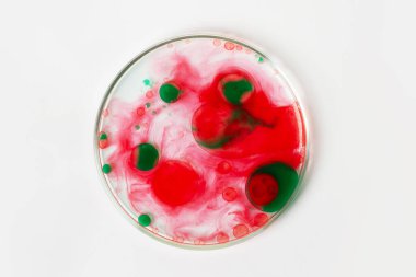 Hafif arka planda bir petri kabı. Yeşil ve kırmızı damlalar, bakteri. Ya da virüsler. Küf. Sulandırma. Laboratuvar, biyokimya, kimya, bilim. Çalış.