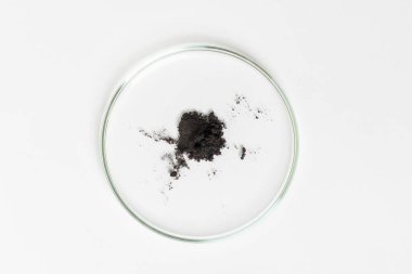 Hafif arka planda bir petri kabı. Kara barutla. Mantar, küf..