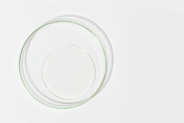 stock image Petri dish on a light background. With a smear of clear gel. Cosmetic gel, lubricant, gel. View from above