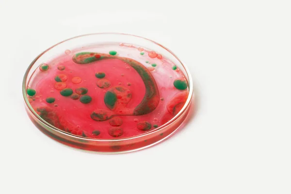 Petri Dish Light Background Green Red Drops Bacteria Viruses Mold — Stock Photo, Image