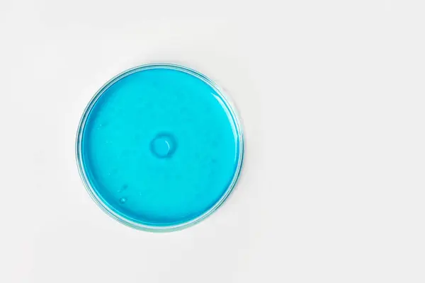 Placa Petri Fundo Claro Com Líquido Azul Azul Manchas Água — Fotografia de Stock