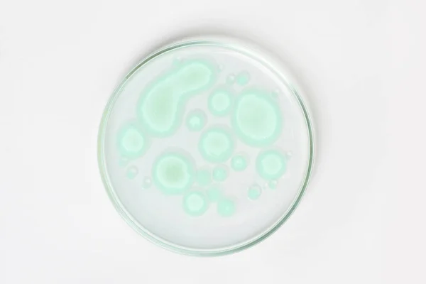 Petri dish on a light background. With light green rocks grown in the laboratory. Sensitivity of bacteria or viruses to antibiotics.