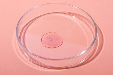 Büyük bir damla gül altını. Ya da pırıltılı sıvı pembe. Pembe arka planda bir petri kabında. Laboratuvar, kimya, kozmetik, sim.