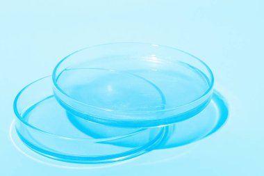 Parlak mavi sıvı. Petri kabında. Kozmetik, jöle, tıp laboratuvarı araştırması. Kimya