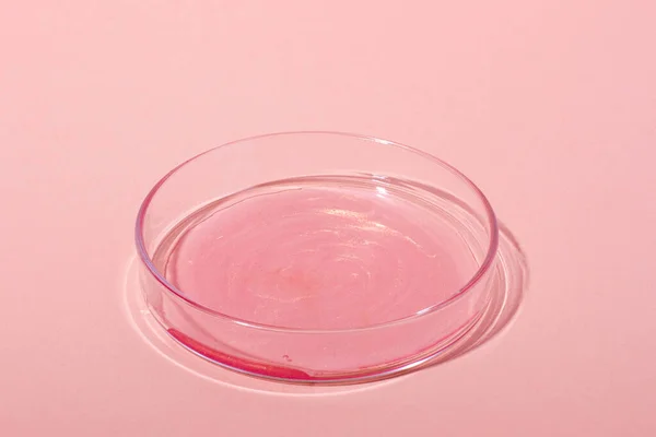 Liquid rose gold. Or a pink liquid with glitter. In a Petri dish. Laboratory research of cosmetics, gel, medicine. Chemistry