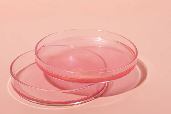Liquid rose gold. Or a pink liquid with glitter. In Petri dishes. Laboratory research of cosmetics, gel, medicine. Chemistry