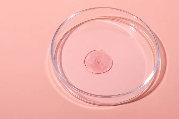 Een Grote Druppel Rozengoud Vloeibaar Roze Met Glitters Een Petrischaal — Stockfoto